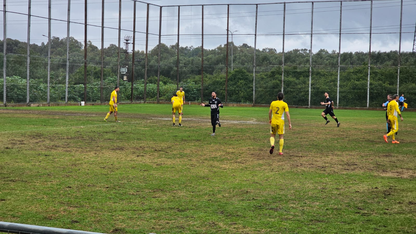 אלמוג סמט כהן