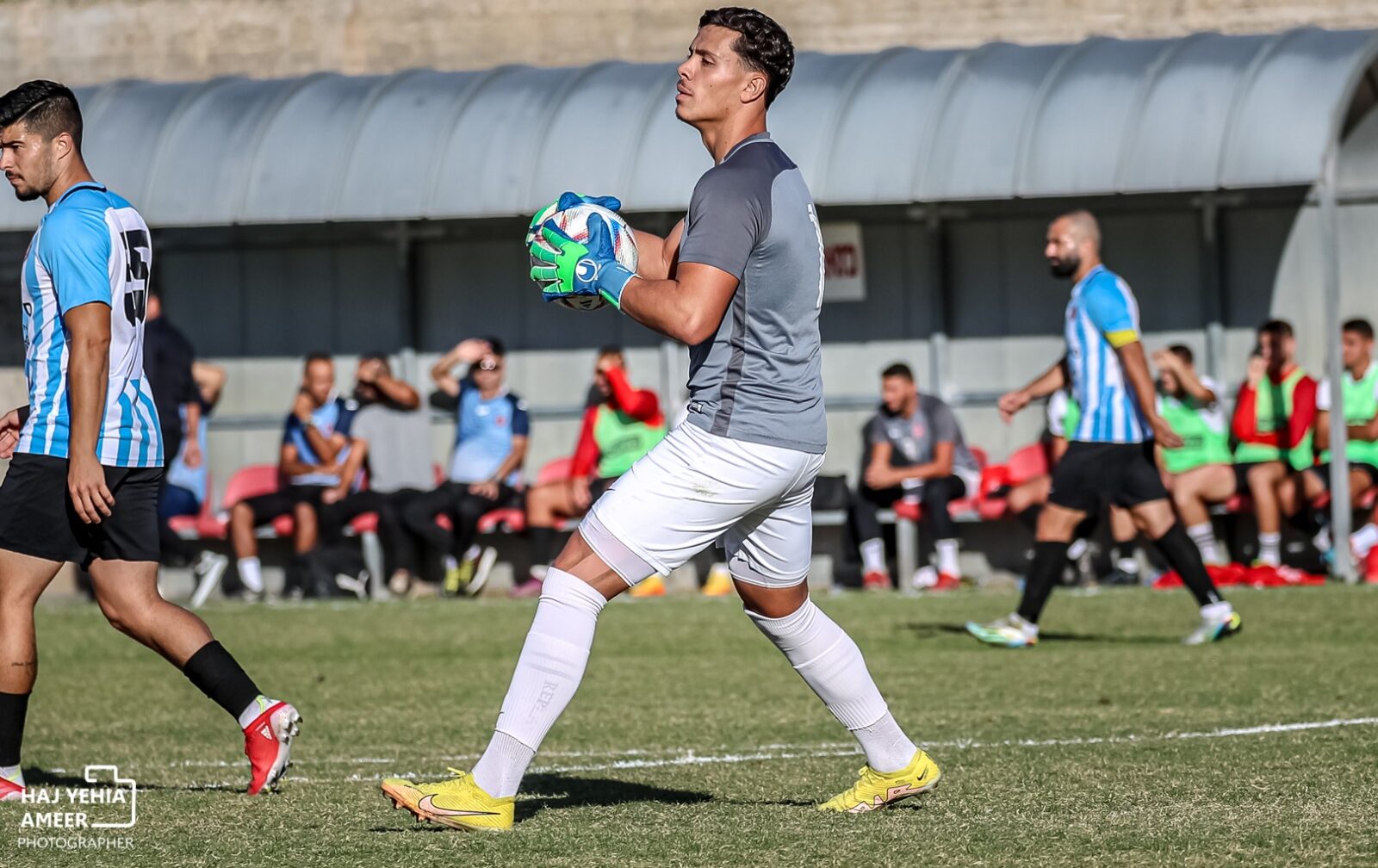 אריאל מסיקה